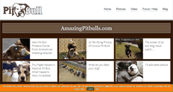 Desktop Screenshot of amazingpitbulls.com