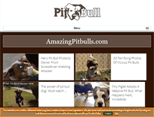 Tablet Screenshot of amazingpitbulls.com